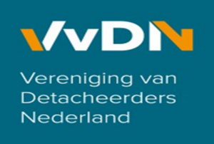 Logo Vereniging van Detacheerders Nederland